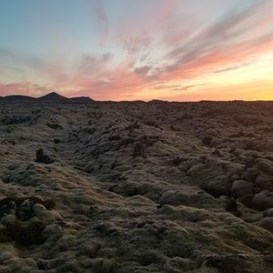 Meet your Posher, Paige